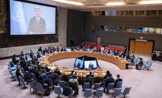 Специальный посланник Генерального секретаря по Йемену Ханс Грундберг по видеосвязи докладывает Совету Безопасности ООН о ситуации в Йемене.